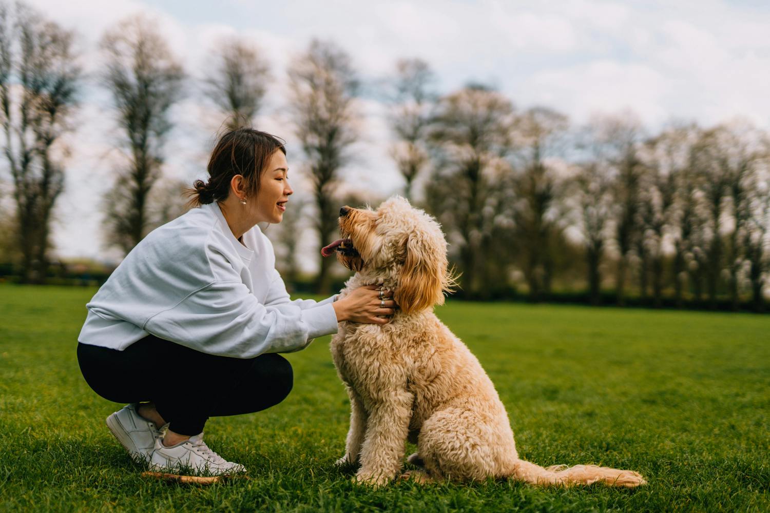 Zoophobie : nos solutions pour surmonter la peur panique des animaux