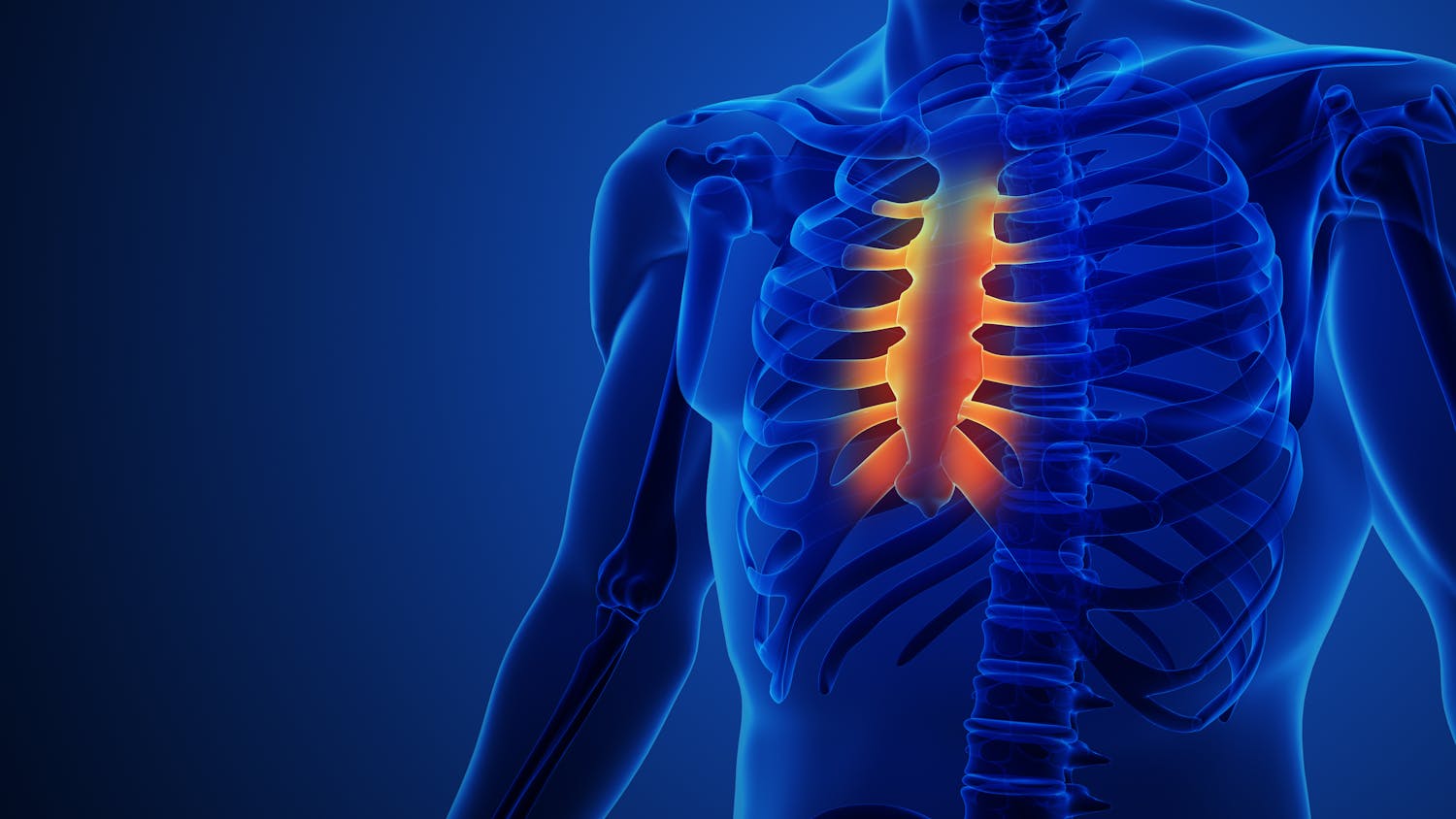 Tout savoir sur le sternum, l'os central de la cage thoracique