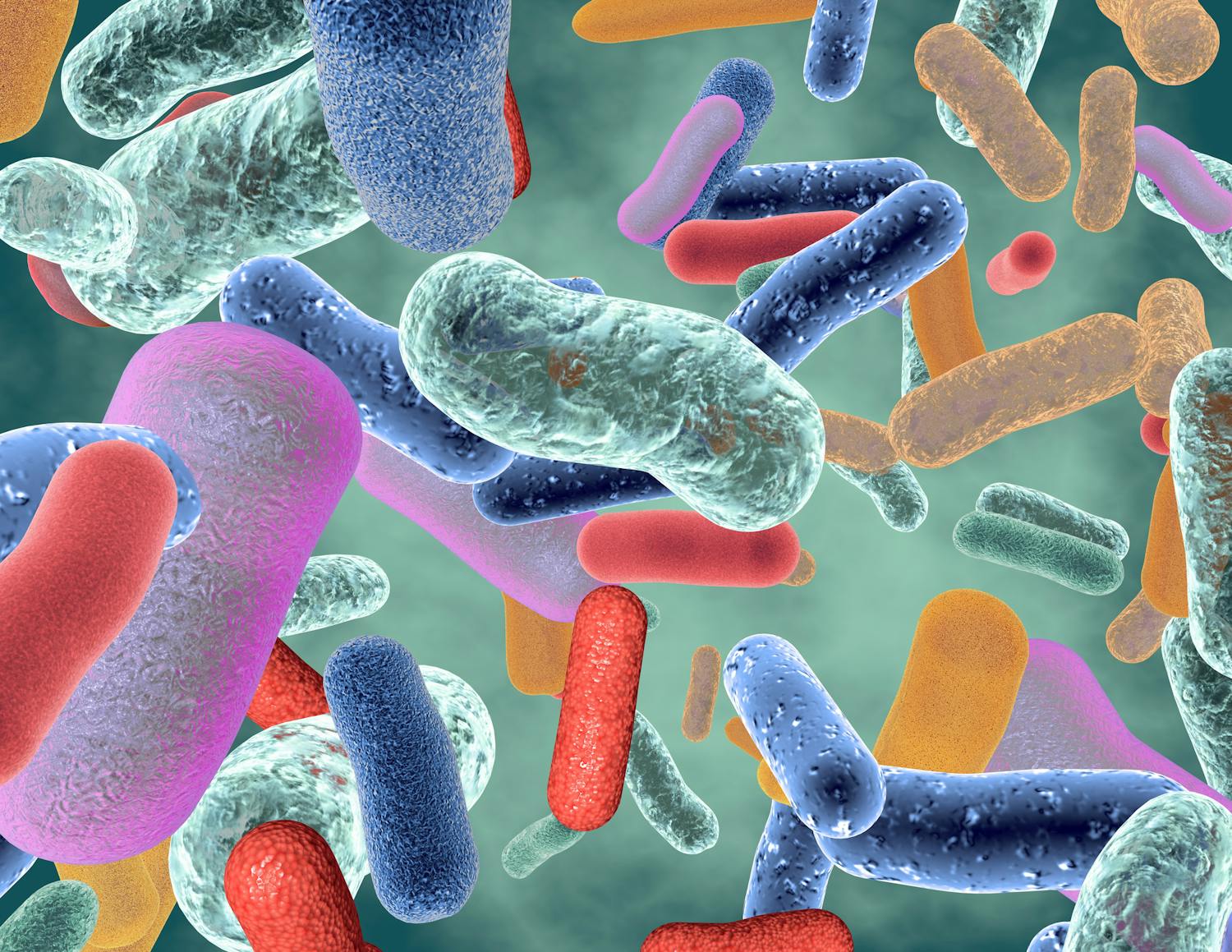 Microbiote intestinal : ce qu'il faut savoir pour rester en bonne santé
