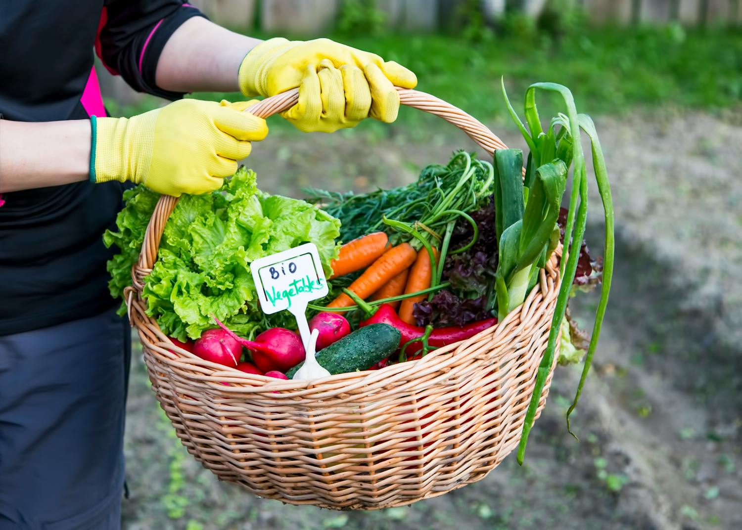 Faut-il manger des aliments bio pour vivre plus longtemps ?